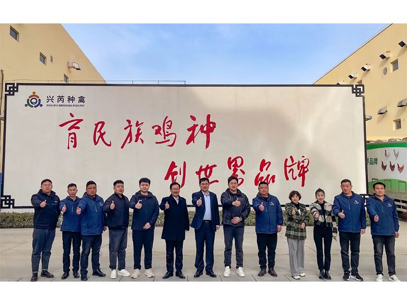 參觀學習促進步 交流合作贏發(fā)展︱卓一牧業(yè)赴興芮種禽、峪口禽業(yè)與瑞普生物參觀訪學